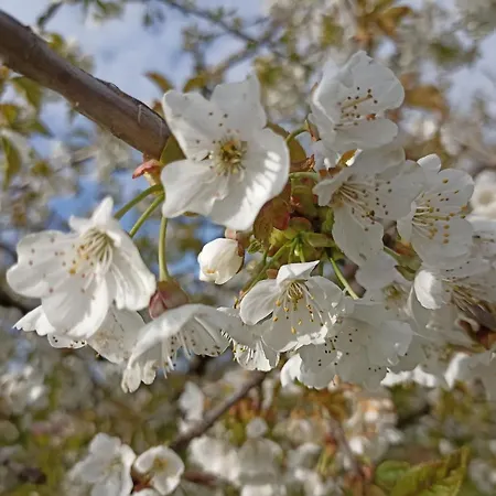 Naturaum 公寓 Gräfenberg