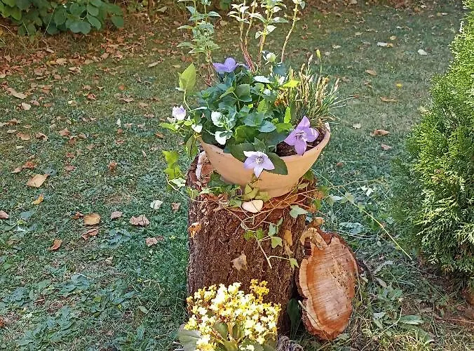 Naturaum Apartament *