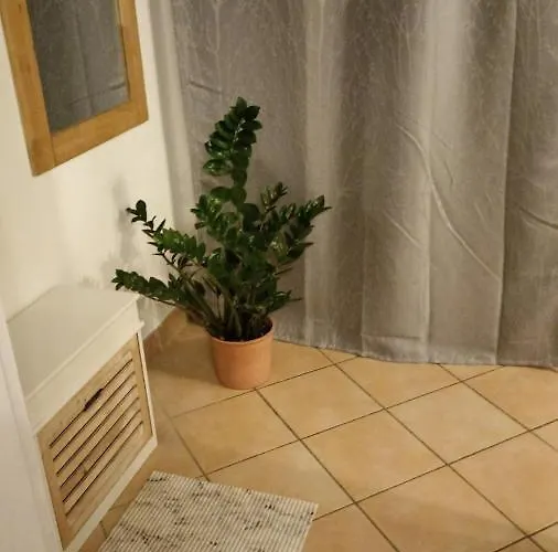 Apartament Naturaum *